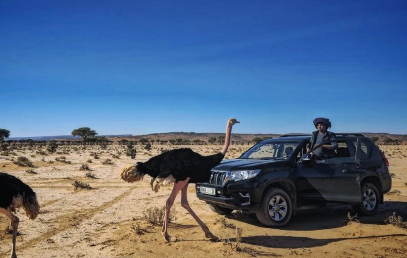 5 days Explore Desert Marrakech - Erg Lihoudi - Erg Chegaga